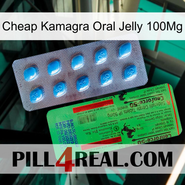 Cheap Kamagra Oral Jelly 100Mg new03.jpg